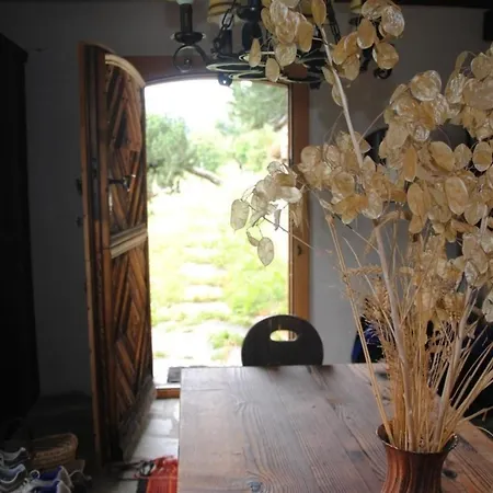 Buendnerchalet Im Herz Der Schweizer Alpen * 迪森蒂斯