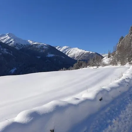 Buendnerchalet Im Herz Der Schweizer Alpen 度假居 迪森蒂斯