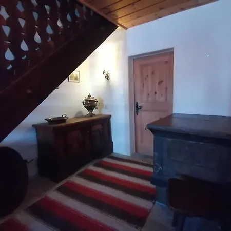 度假居 Buendnerchalet Im Herz Der Schweizer Alpen 迪森蒂斯